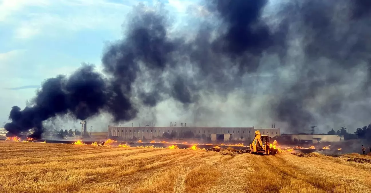 Tekirdağ\'da TIR Yangını Biçilmiş Buğday Tarlasına Sıçradı