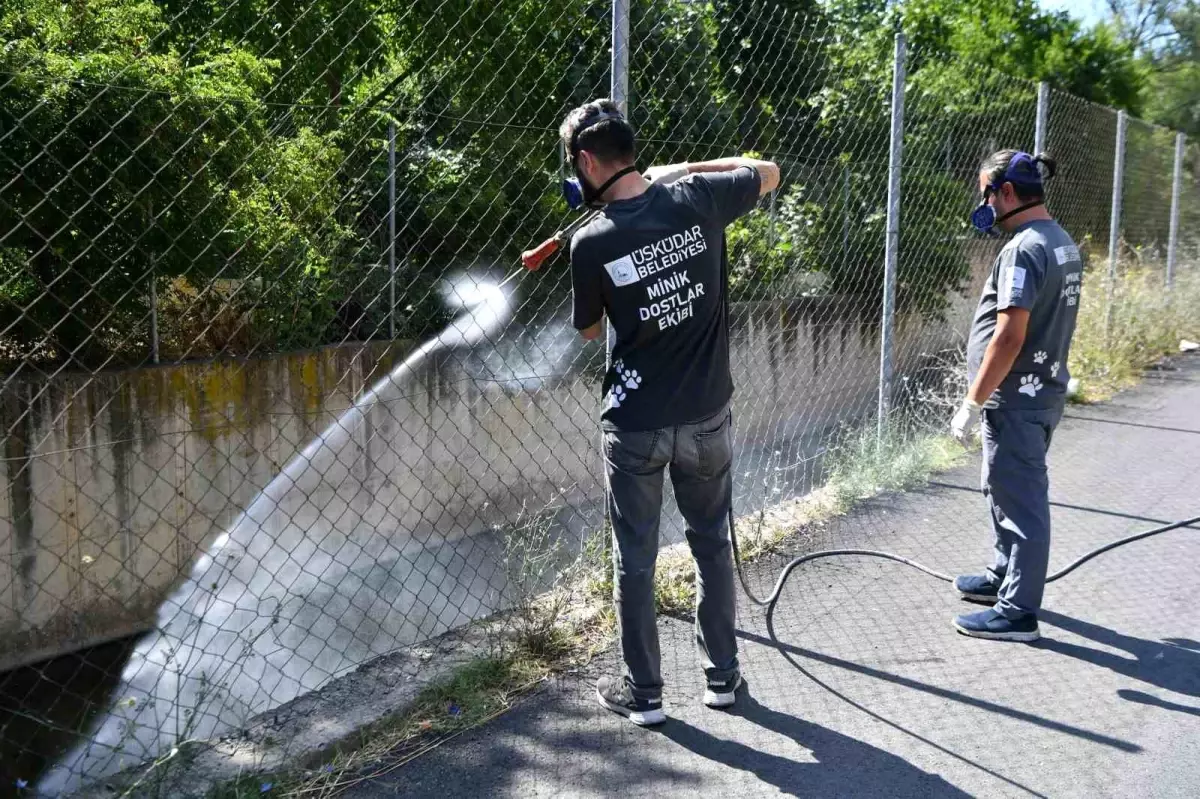 Üsküdar\'da Vektörlerle Mücadele Çalışmaları Devam Ediyor