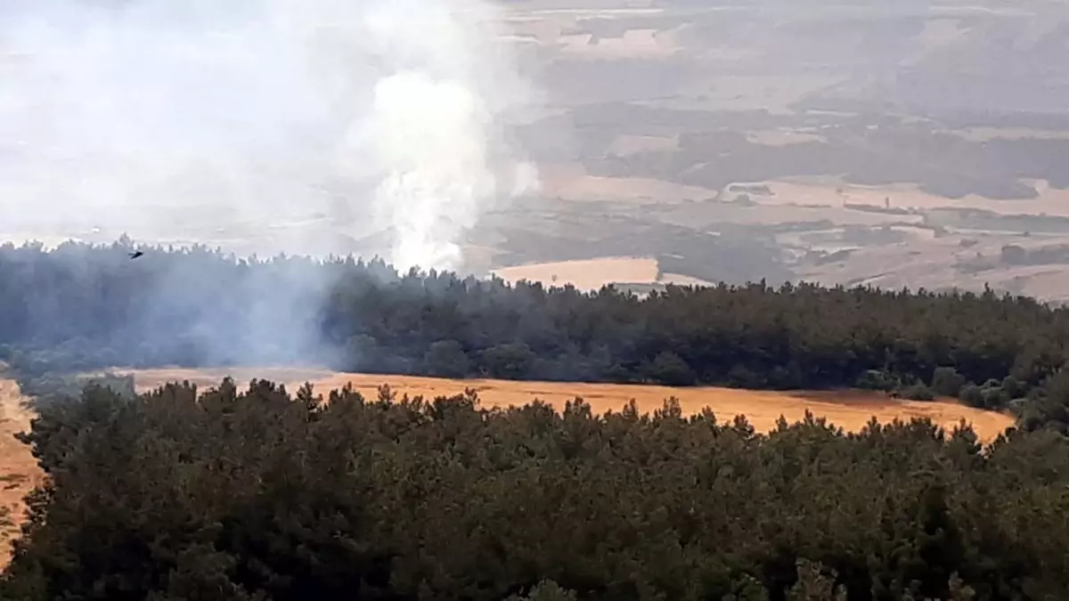 Şarköy\'de Yıldırım Sonucu Çıkan Orman Yangını Kontrol Altına Alındı