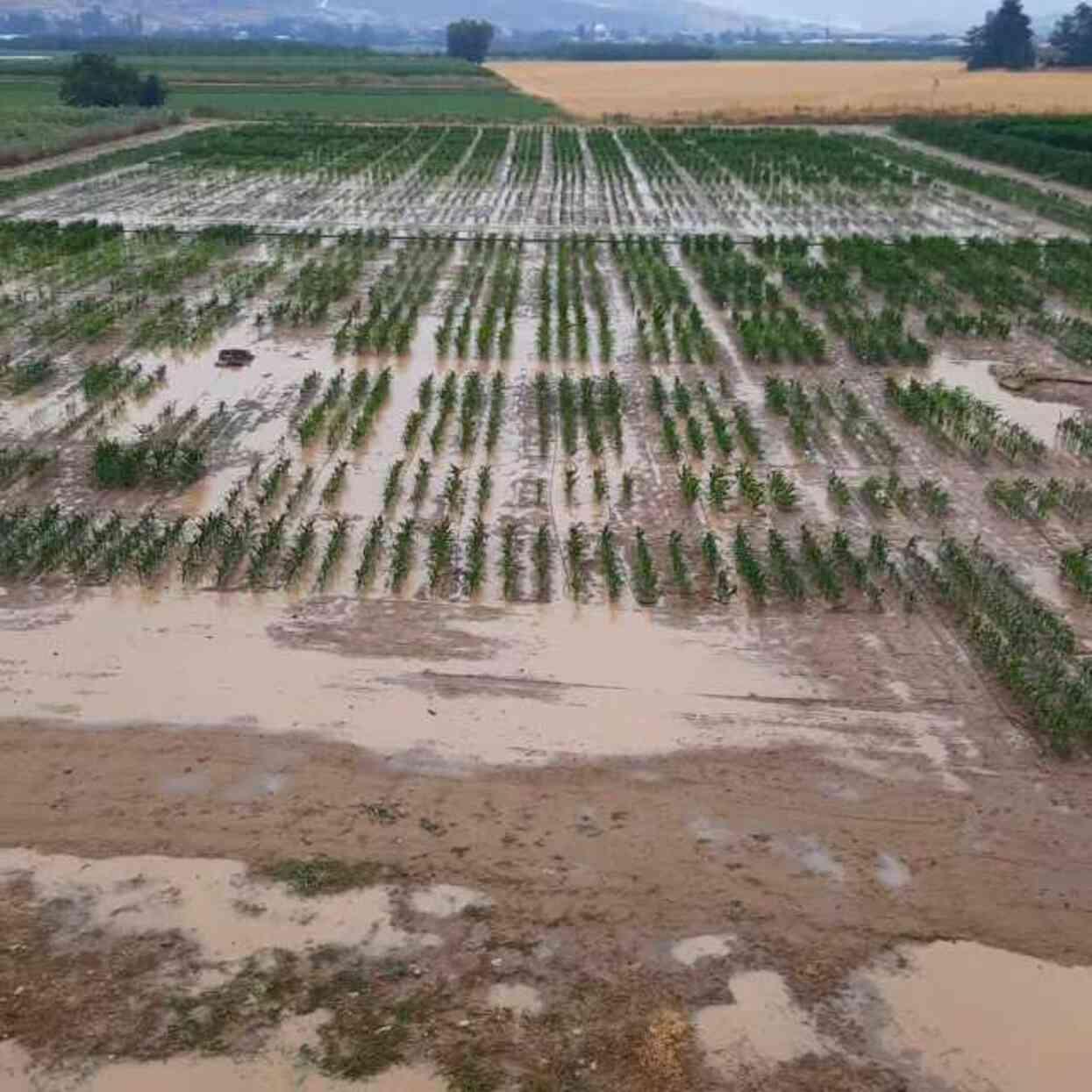 Bursa'da sağanak yağış metro seferlerini de durdurdu, raylar şelaleye döndü