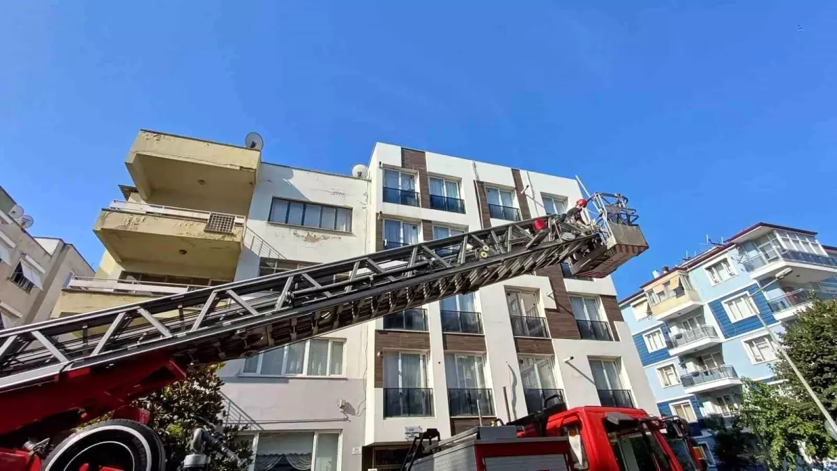 Aydın\'da Sıkışan Kumru İçin Polis ve İtfaiye Seferber Oldu