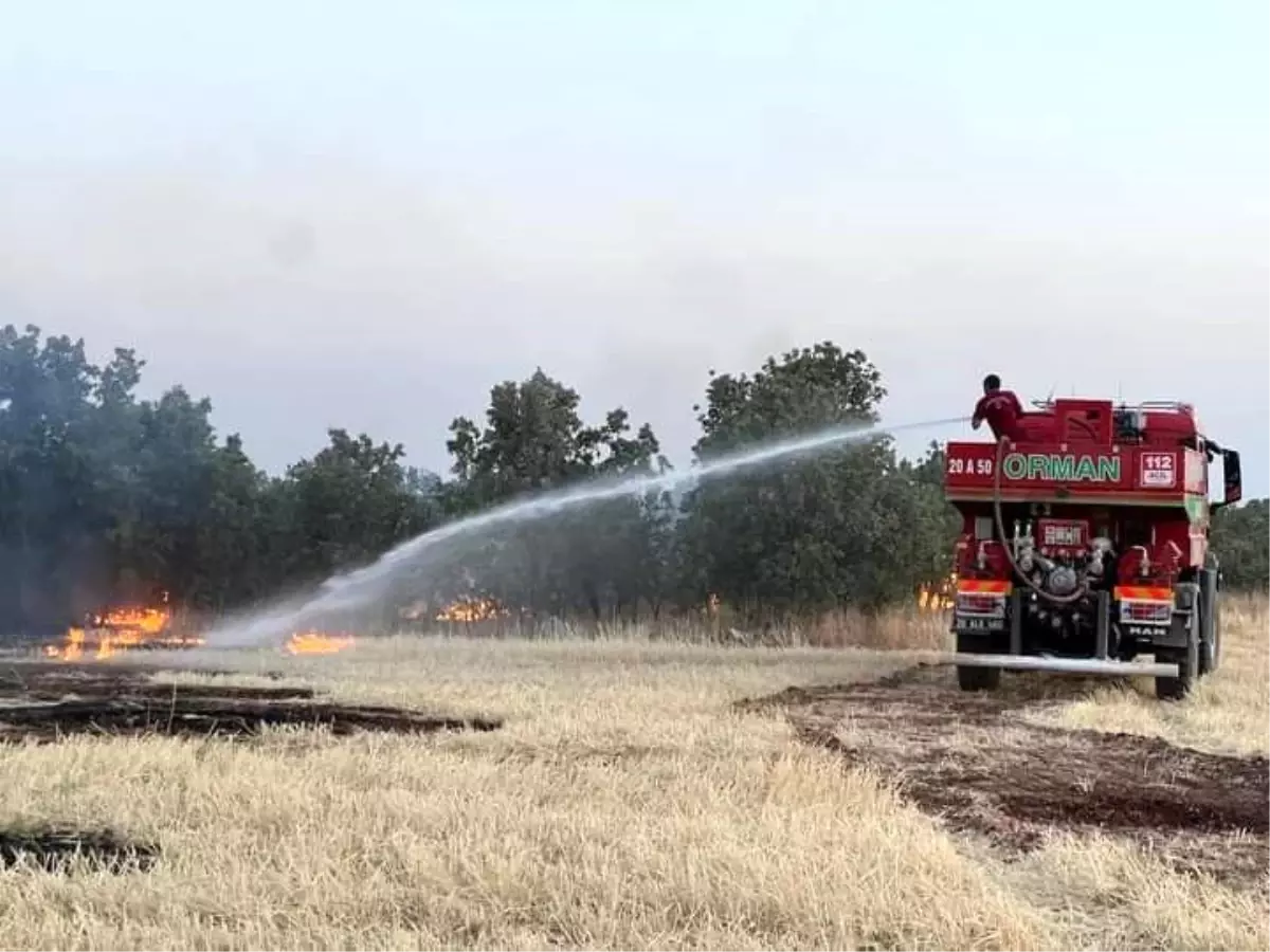 Denizli\'nin Bekilli ilçesinde orman yangını kontrol altına alındı