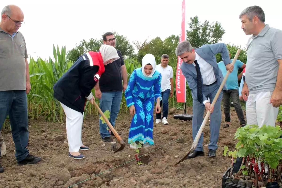 Düzce\'de Kadın Çiftçiler Tarımsal Yeniliklerle Buluştu