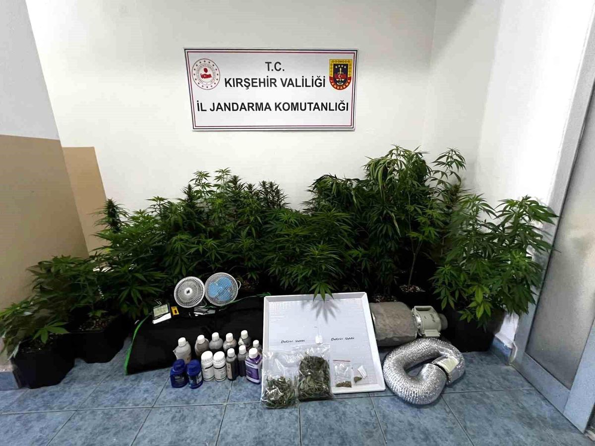 Kırşehir\'de Yasa Dışı Ekim Operasyonu