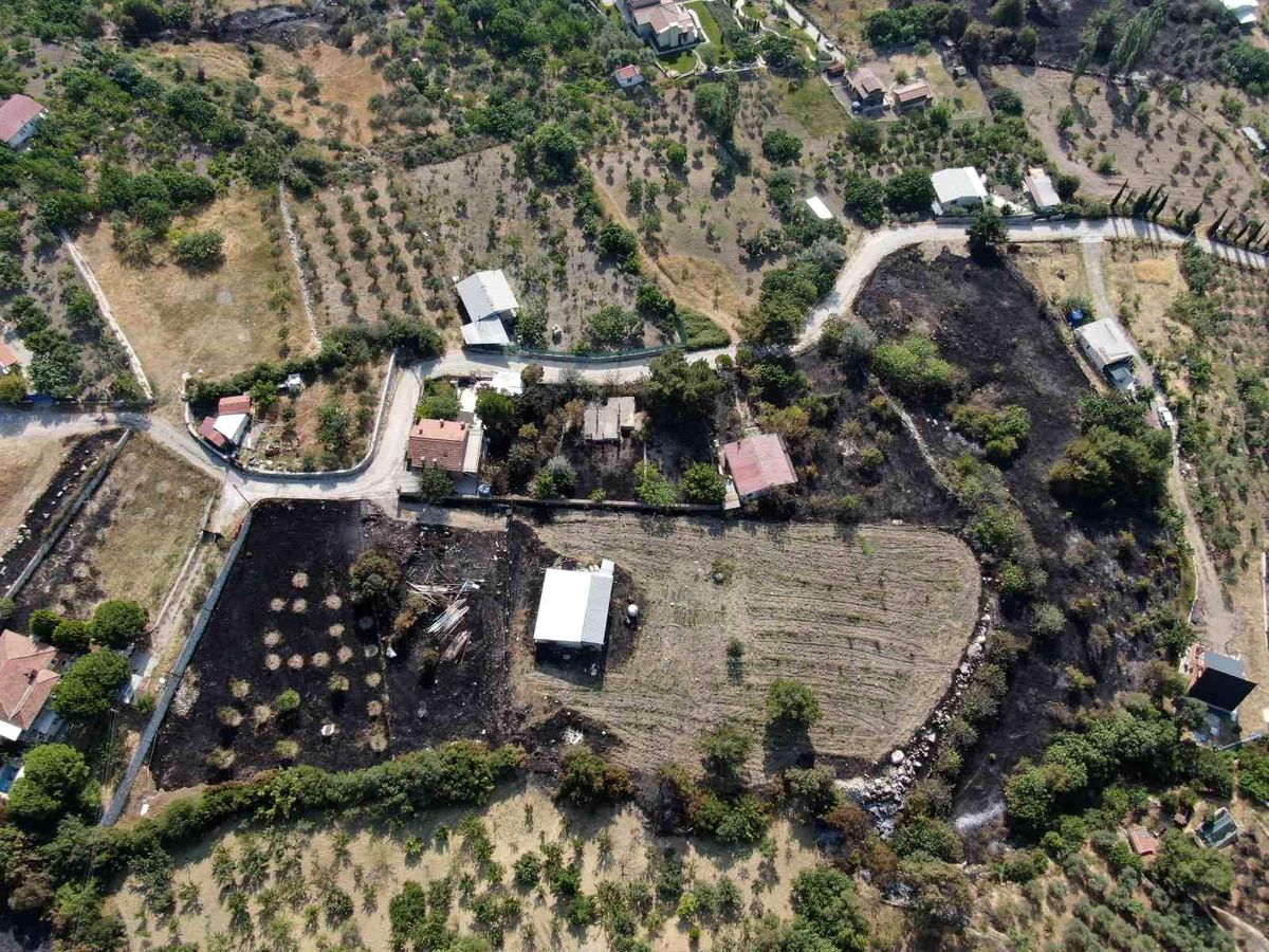 İzmir Bornova\'da çıkan orman yangınında 7 ev hasar gördü