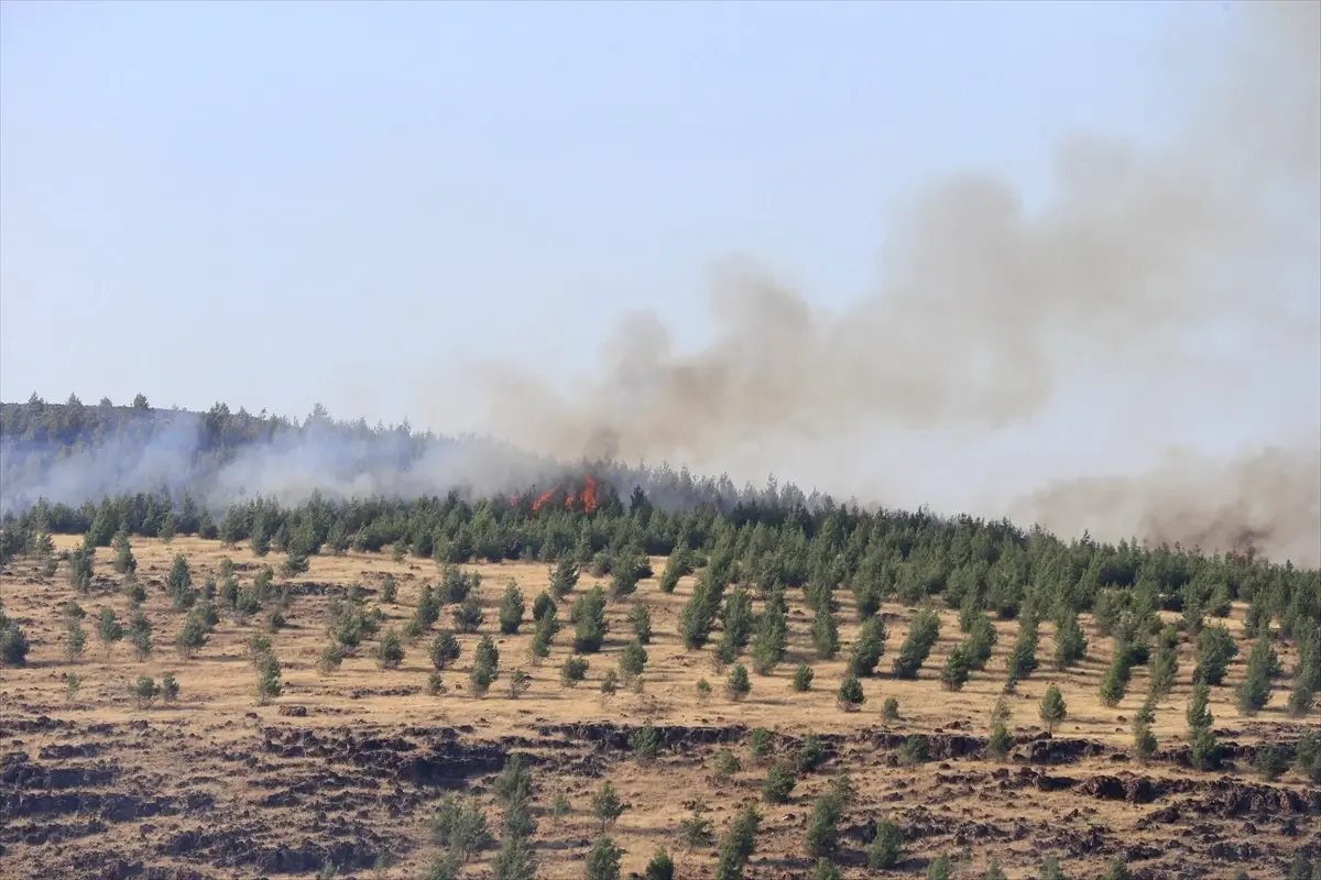 Kahramanmaraş\'ta çıkan orman yangını kontrol altına alındı