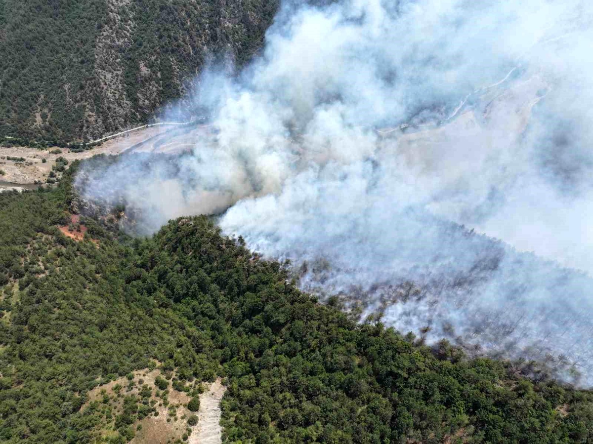 Karabük\'ün Ovacık ilçesinde yıldırım düşmesi sonucu orman yangını çıktı