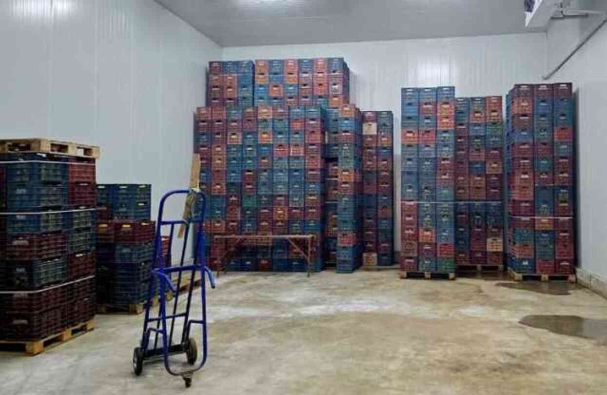 Mersin'de HKS'ye kayıt edilmeyen 380 ton limon tespit edildi Mersin'de HKS'ye kayıt edilmeyen 380 ton limon tespit edildi