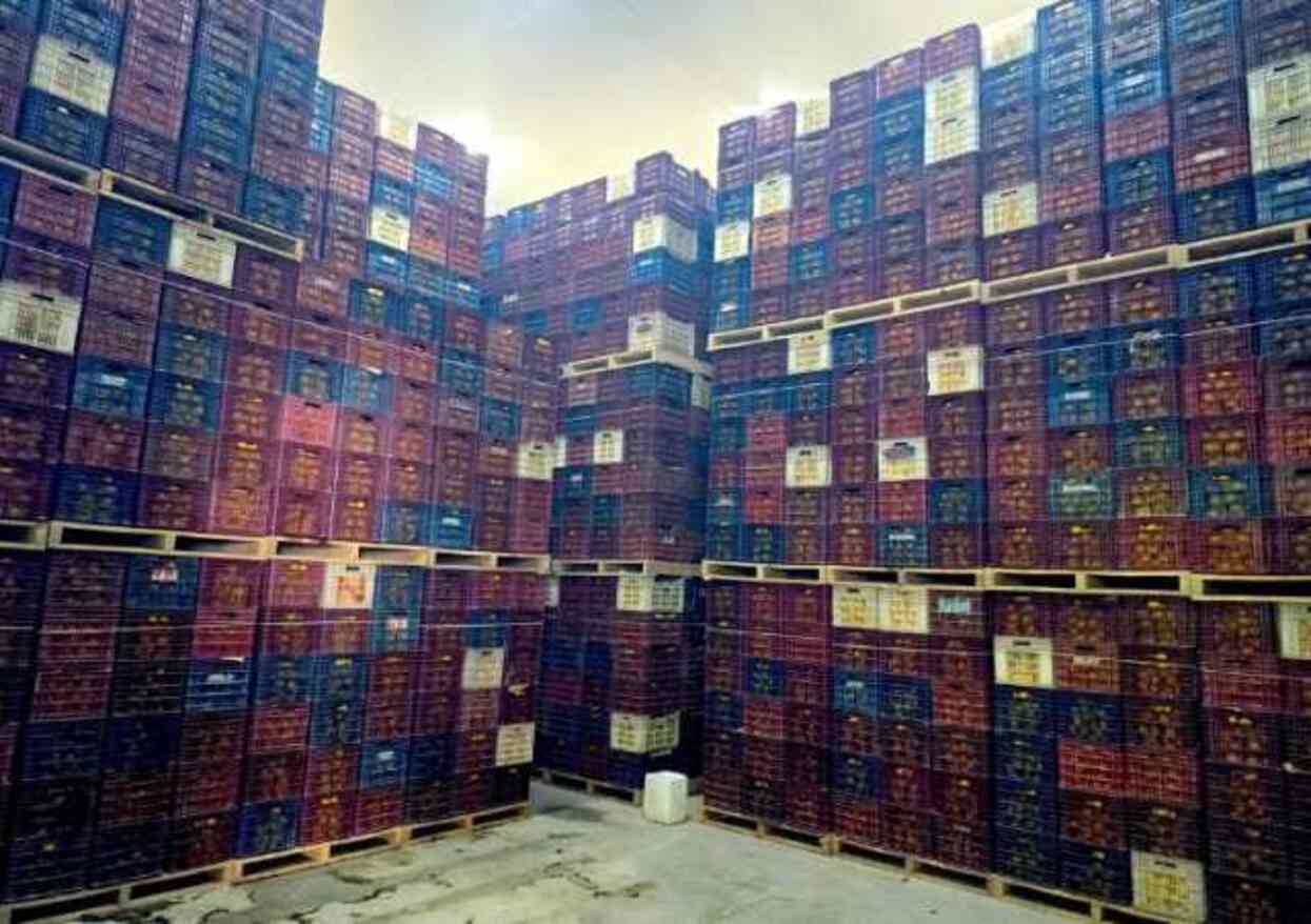 Mersin'de HKS'ye kayıt edilmeyen 380 ton limon tespit edildi Mersin'de HKS'ye kayıt edilmeyen 380 ton limon tespit edildi
