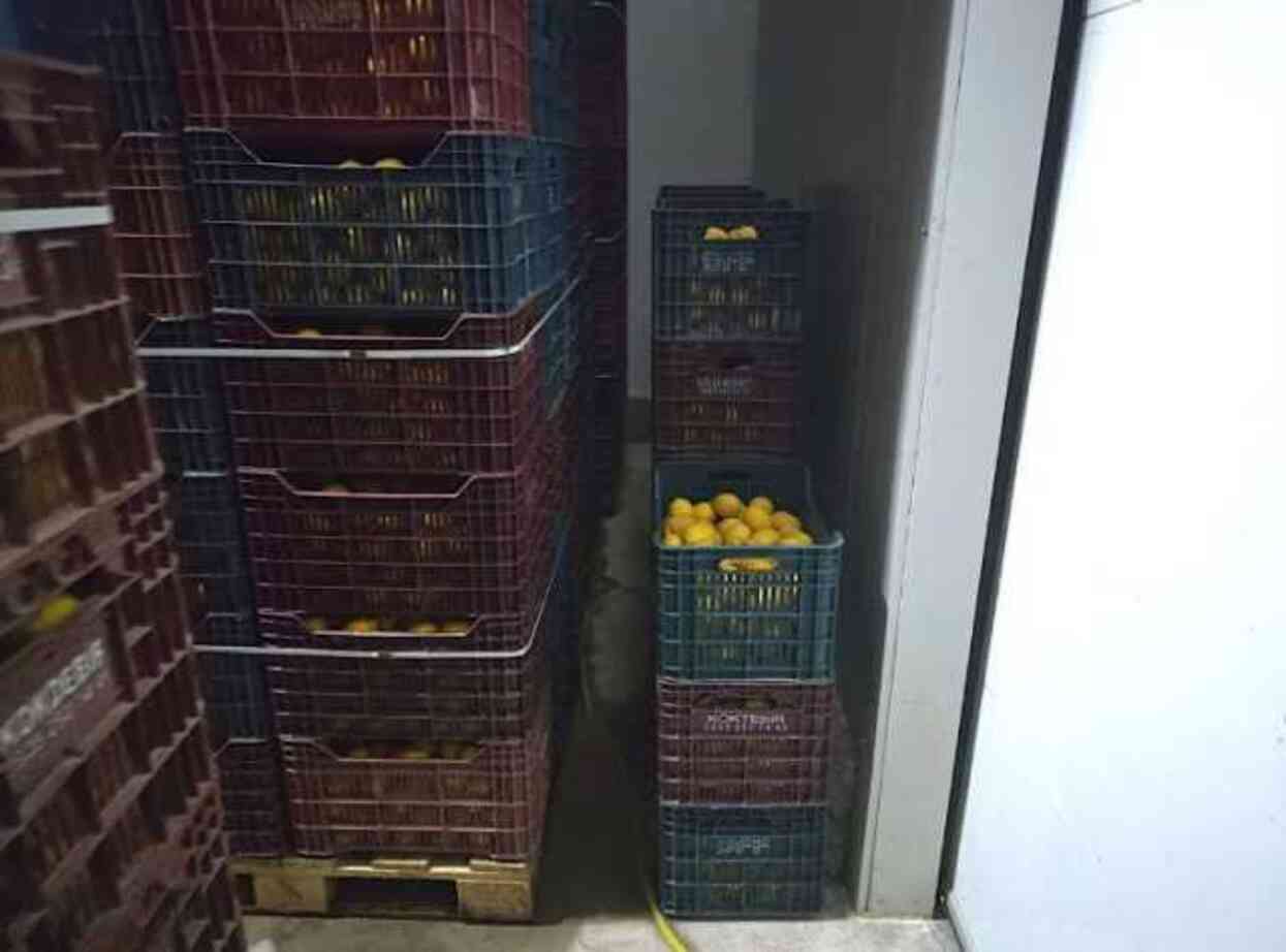 Mersin'de HKS'ye kayıt edilmeyen 380 ton limon tespit edildi Mersin'de HKS'ye kayıt edilmeyen 380 ton limon tespit edildi