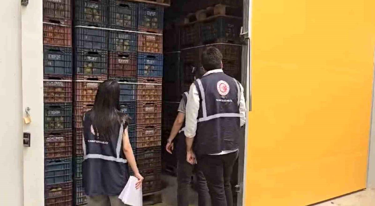 Mersin\'de HKS\'ye kaydedilmeyen 380 ton limon tespit edildi