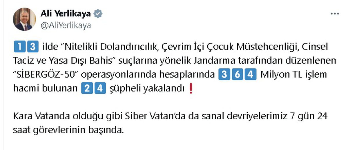 İçişleri Bakanı: \'Sibergöz-50\' Operasyonlarında 24 Şüpheli Yakalandı