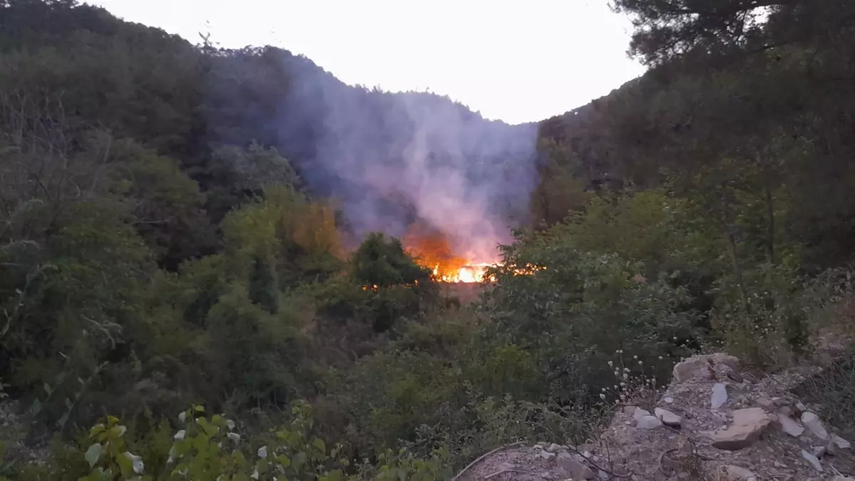 Feke\'de Meyve Bahçesinde Çıkan Yangın Ormana Sıçramadan Söndürüldü