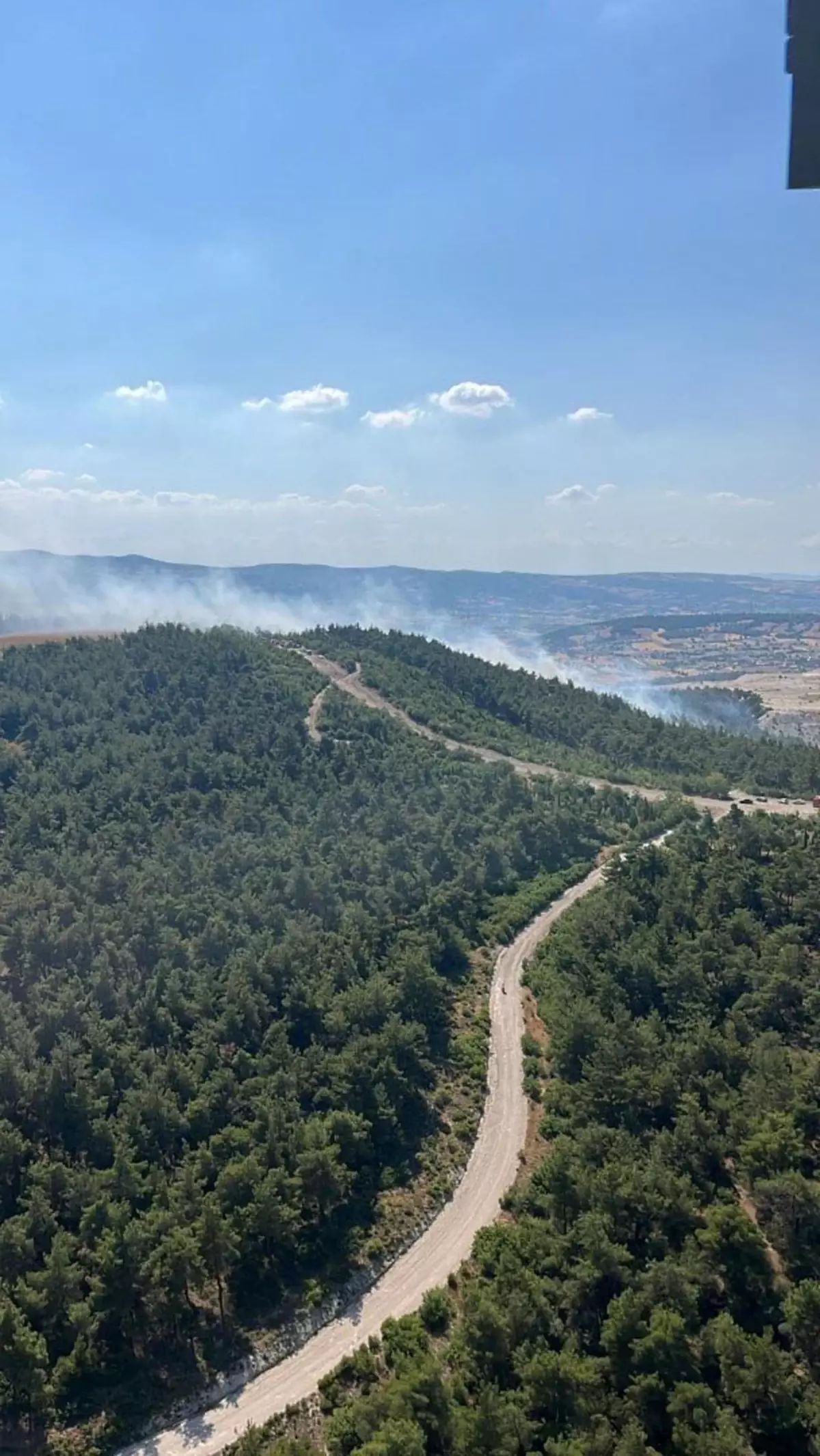 Balıkesir\'de Bigadiç ve Burhaniye ilçelerinde orman yangını çıktı