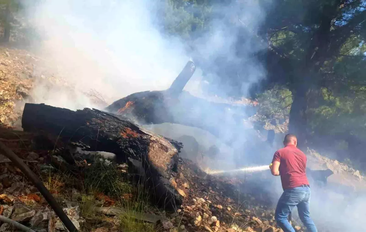 Balıkesir\'in Bigadiç ilçesinde çıkan orman yangını kontrol altına alındı