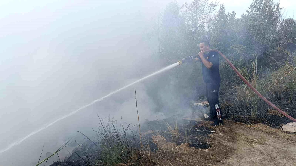 Manavgat\'ta çıkan yangın sonrası muhtar isyan etti