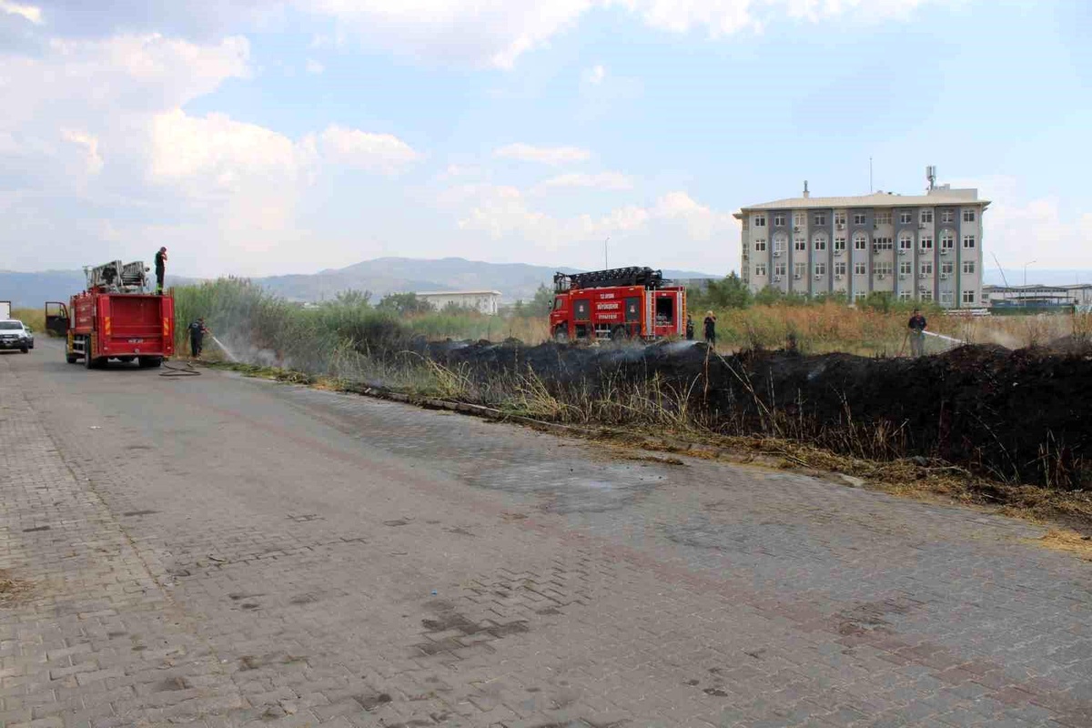 Aydın\'ın Efeler ilçesinde sazlık alanda çıkan yangın hızlı müdahale ile söndürüldü