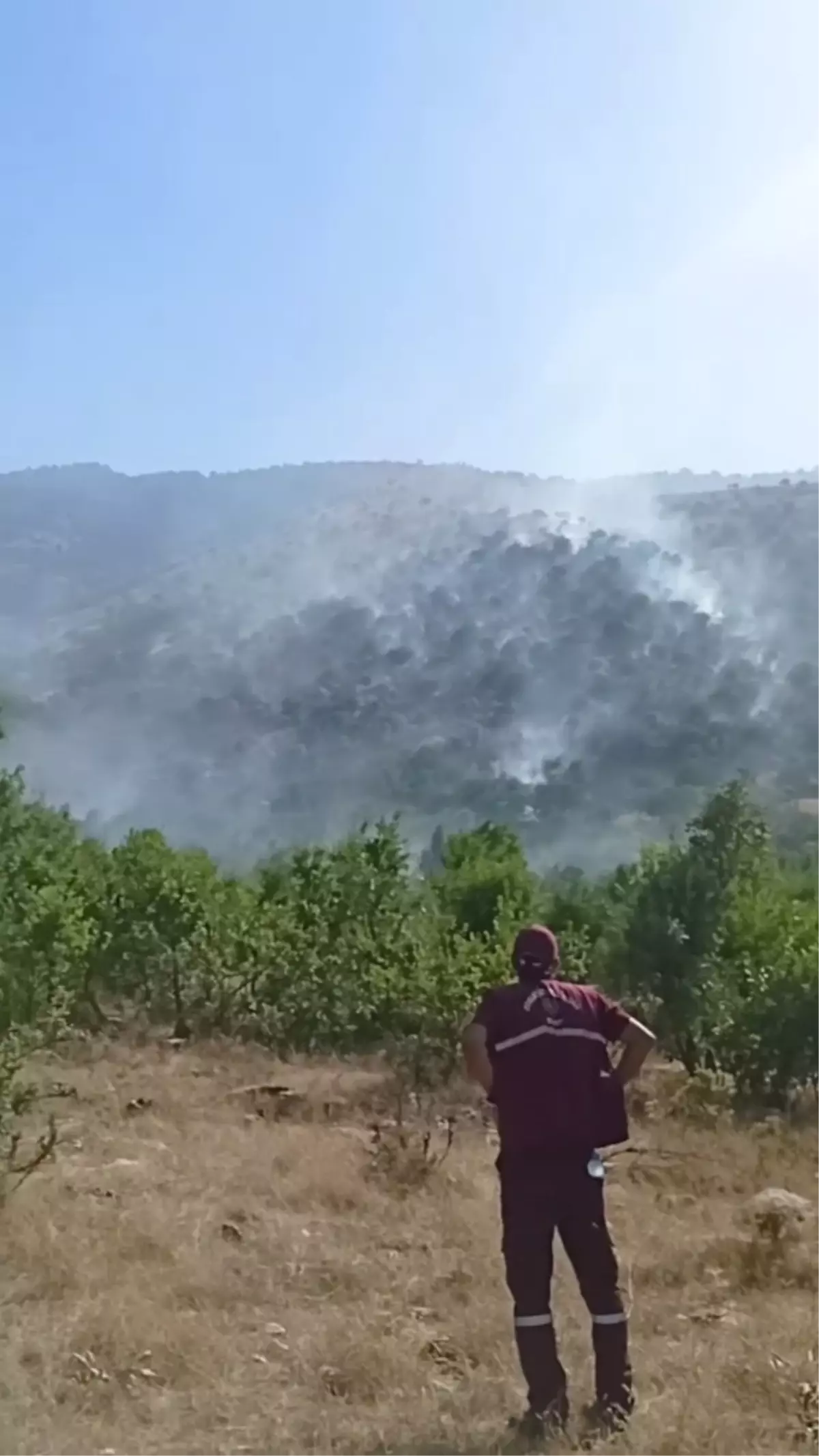 Siirt\'te çıkan yangınlar kontrol altına alındı