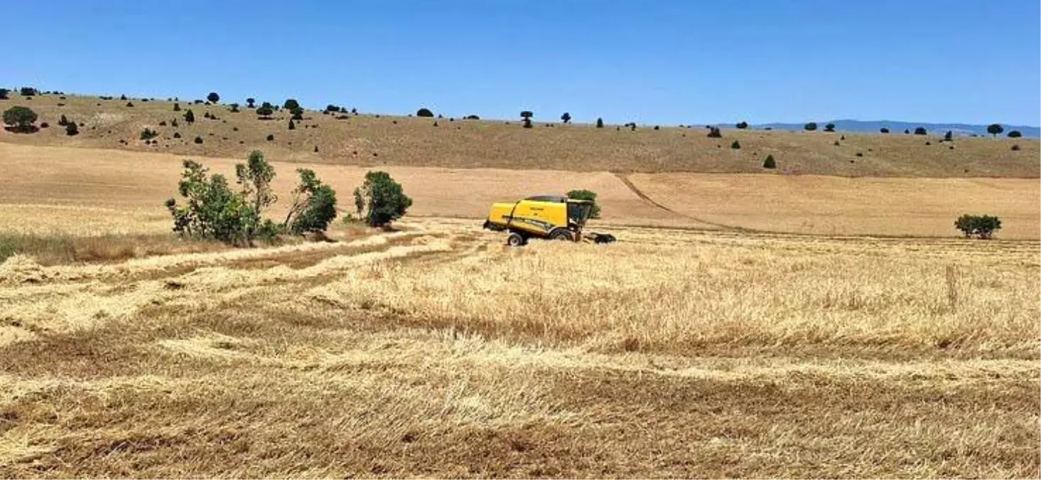 Eskişehir Yayla Mahallesi\'nde Hububat Hasadı Başladı