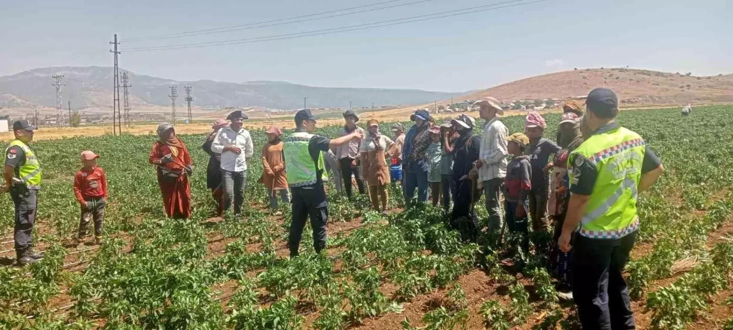 Gaziantep\'te 357 Tarım İşçisine Trafik Güvenliği Eğitimi Verildi