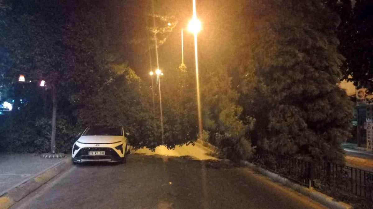 Aydın\'da Devrilen Ağaç Park Halindeki Otomobile Zarar Verdi
