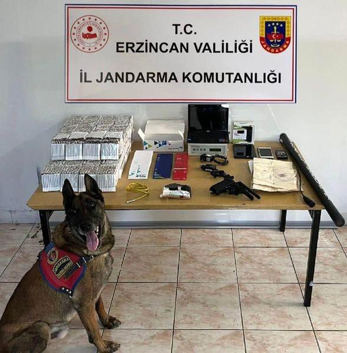 Erzincan Jandarma Haziran Ayı Suç İstatistikleri