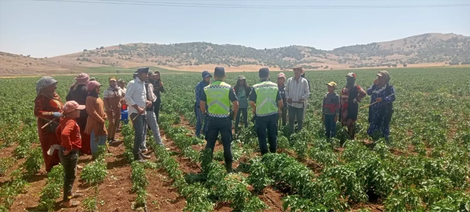 Gaziantep\'te mevsimlik tarım işçilerine trafik eğitimi verildi