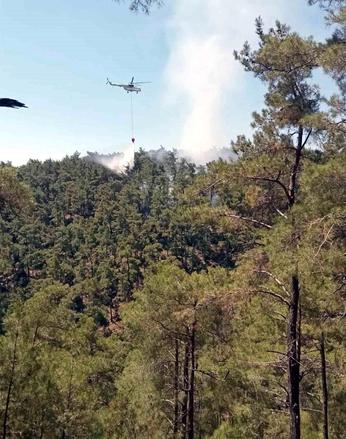Muğla\'da Orman Yangını Kontrol Altına Alındı