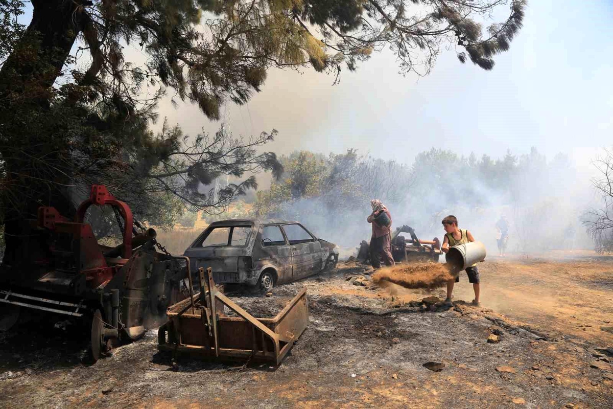 Antalya\'da Rüzgarın Etkisiyle Yayılan Yangın Seralara Zarar Verdi