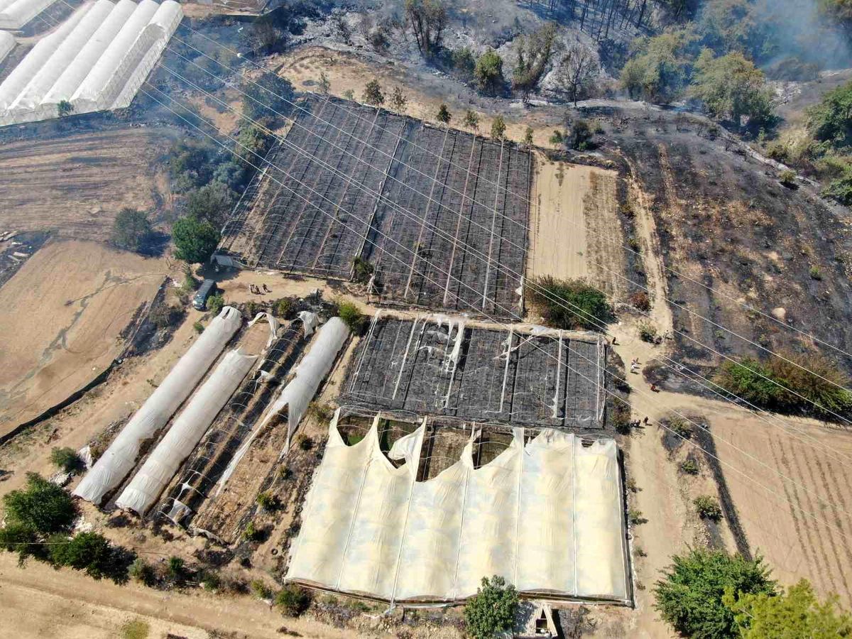 Antalya\'da çıkan yangın kontrol altına alındı