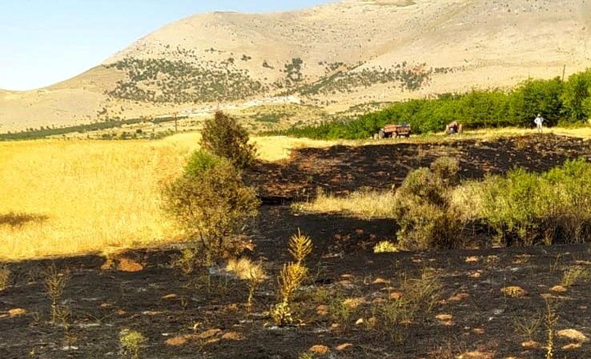 Malatya\'nın Doğanşehir ilçesinde anız yangını kontrol altına alındı