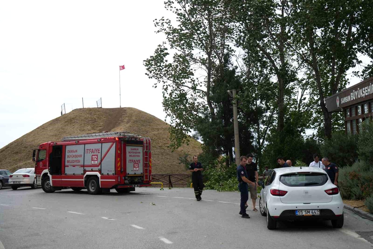 Samsun\'da Fırtına Sonucu Devrilen Ağaç 2 Otomobile Zarar Verdi