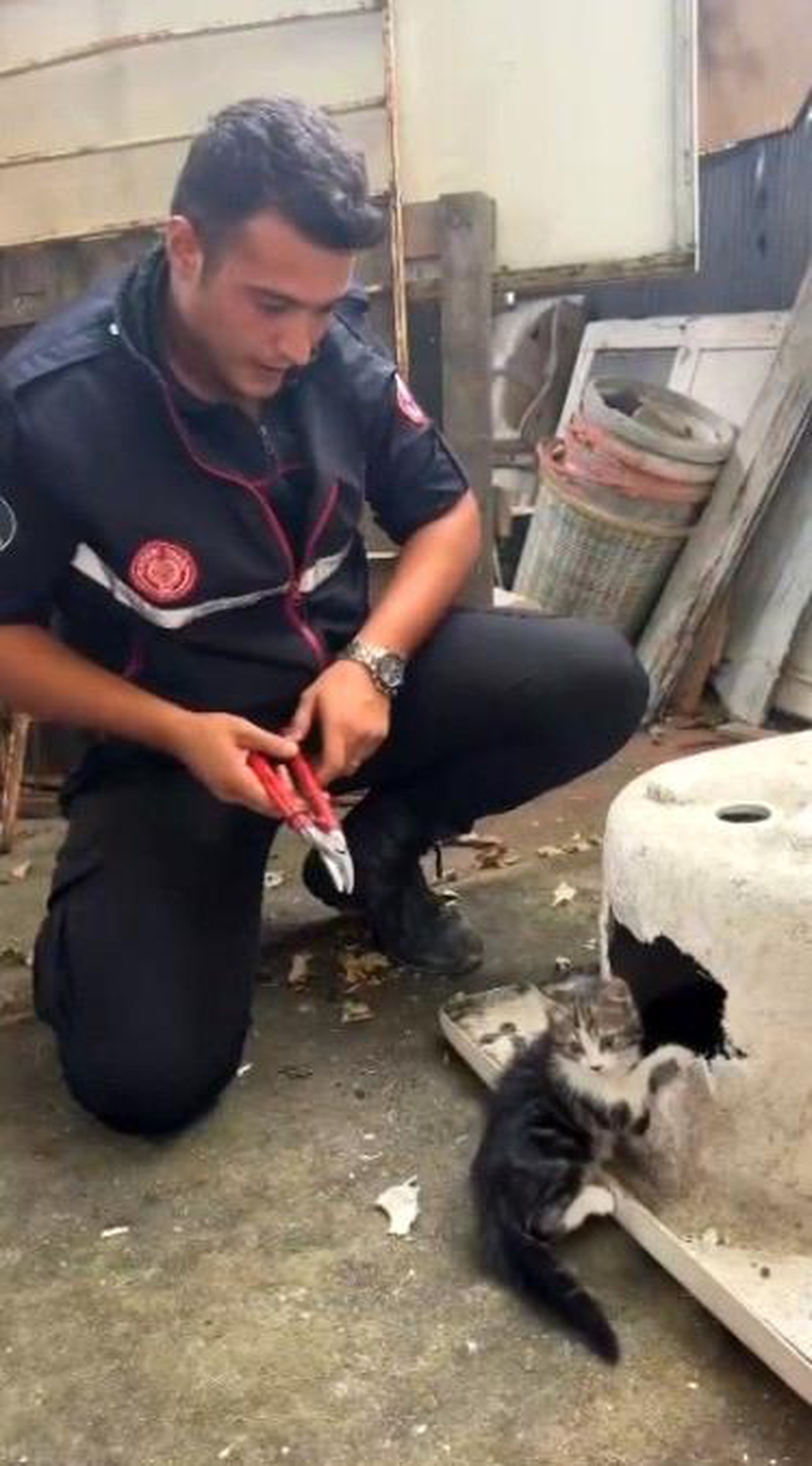 Kayseri\'de kafası küvete sıkışan kedi itfaiye ekiplerince kurtarıldı