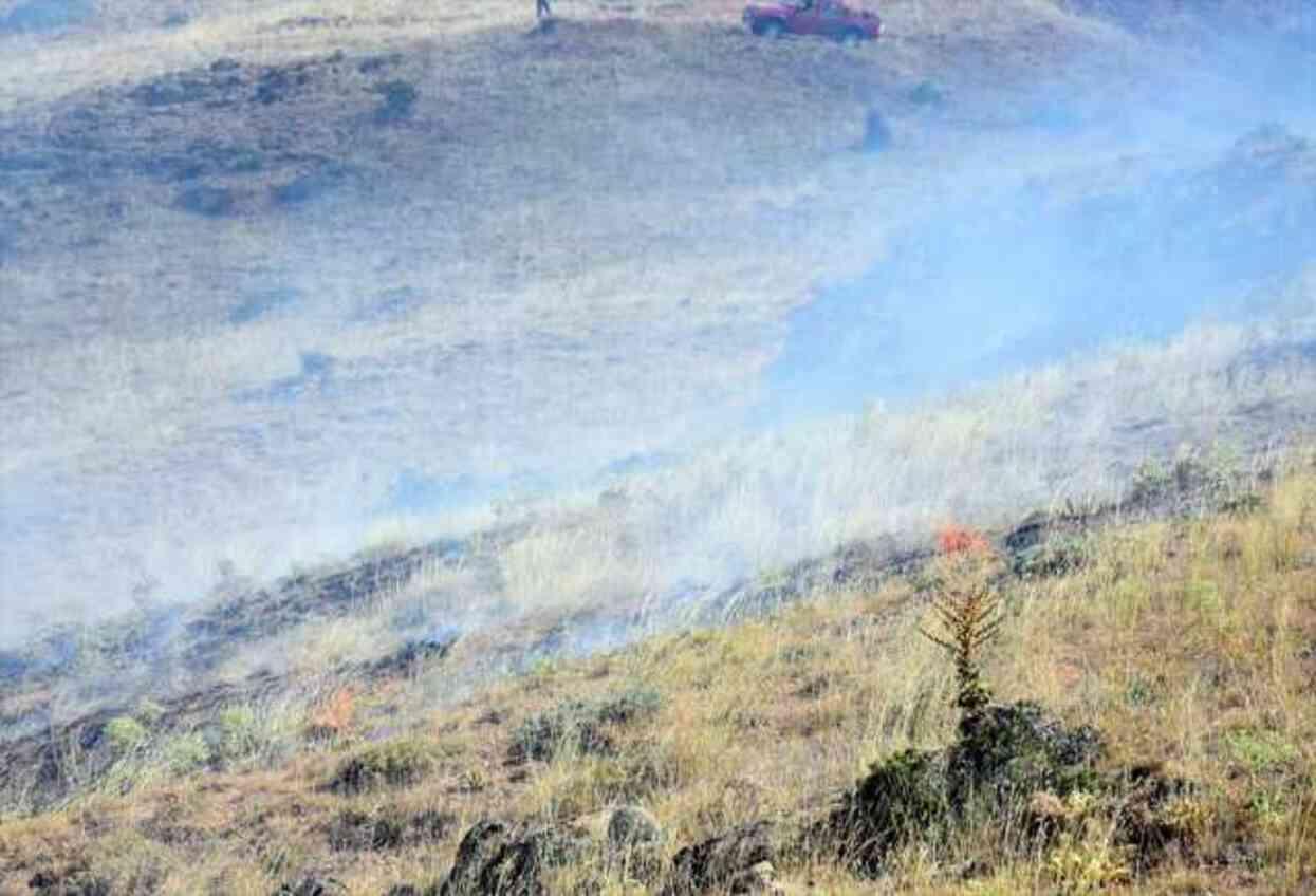 Kırıkkale'de sorumsuzluğun resmi! Mangal ateşi, 3 bin dönüm tarım arazisini küle çevirdi