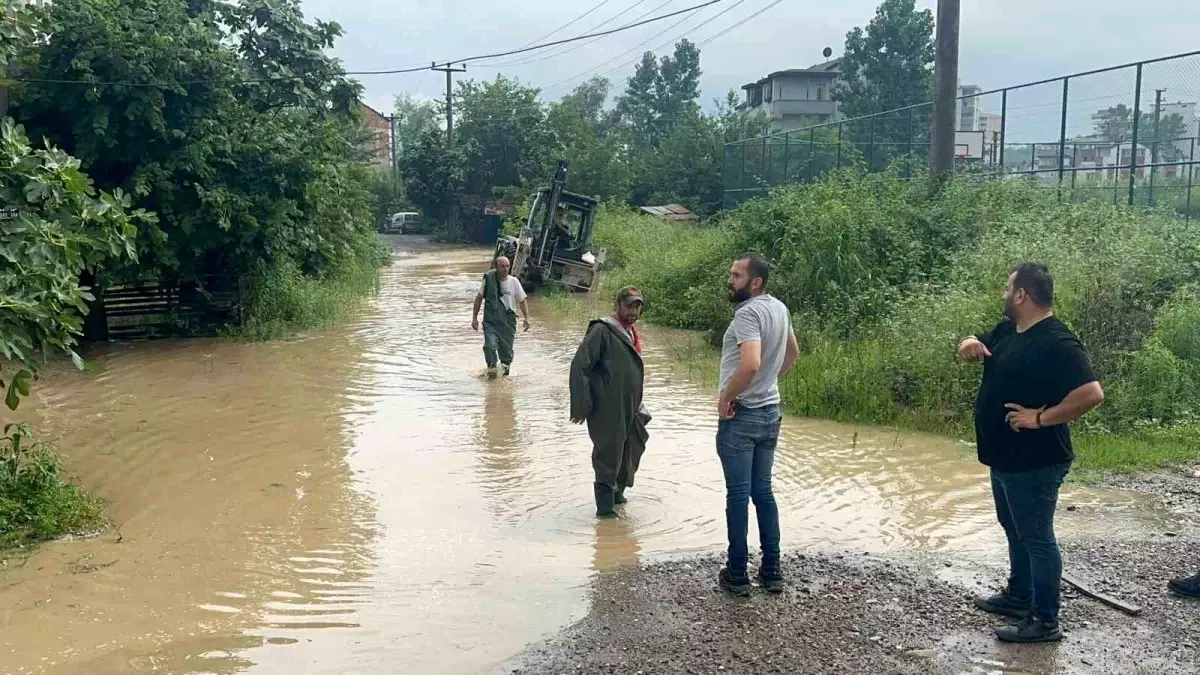 Ordu\'nun Fatsa ilçesinde sağanak yağış sonrası su baskınları