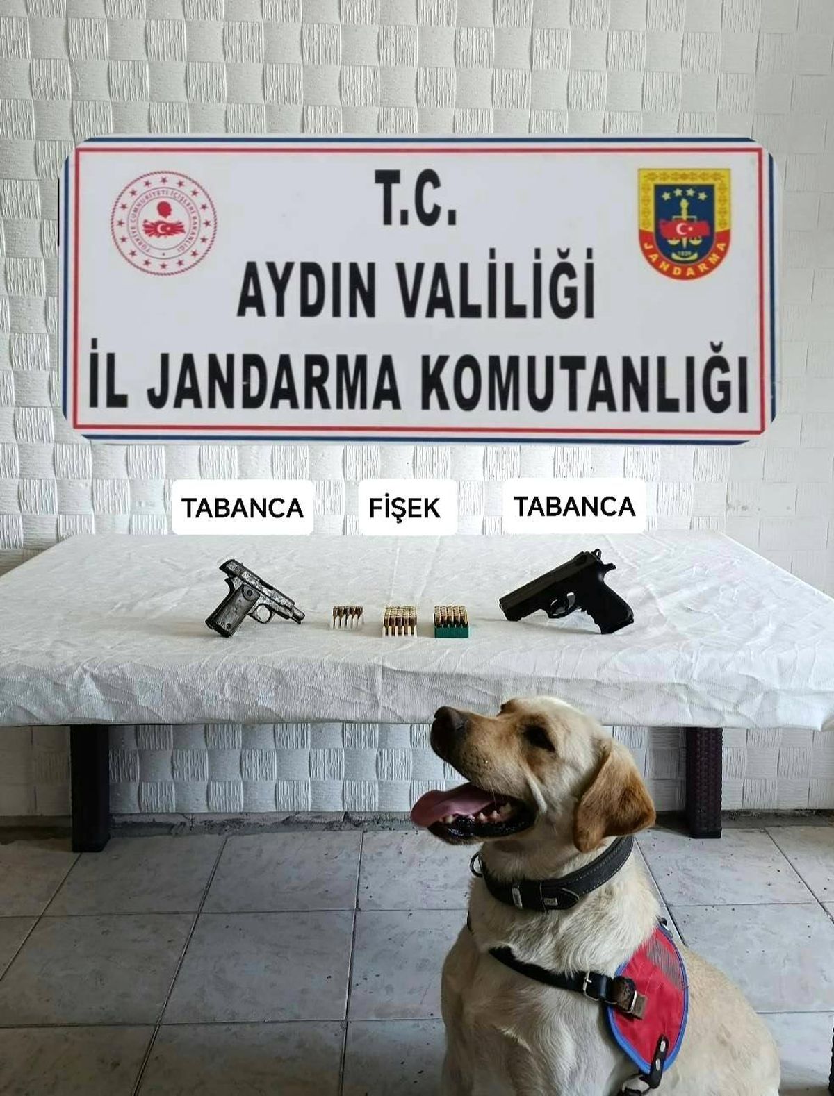Aydın\'da Jandarma Operasyonunda Tabanca ve Fişek Ele Geçirildi