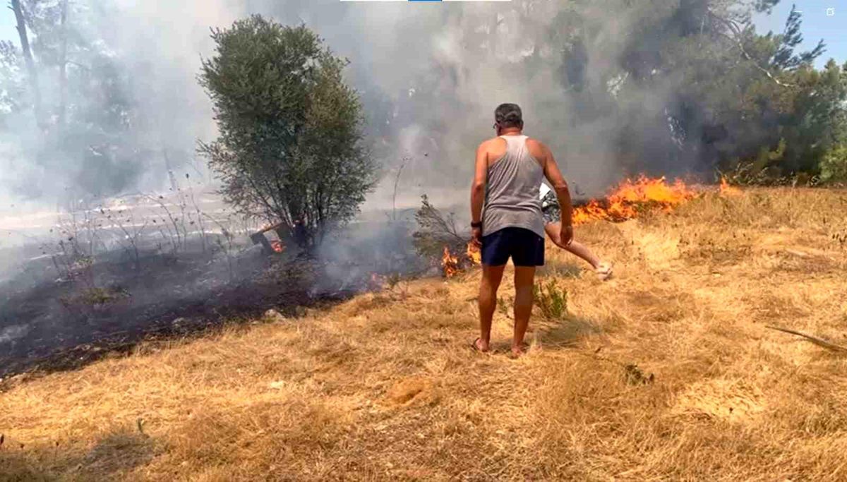 Muğla\'nın Milas ilçesinde tarım arazisinde yangın çıktı