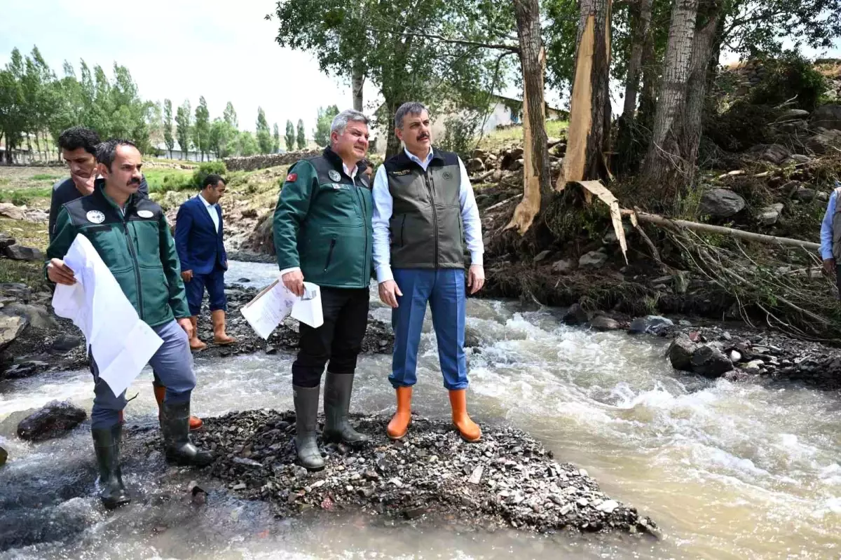 Erzurum\'da sel felaketi: 4 ev ve 4 ahır zarar gördü, 19 hayvan telef oldu