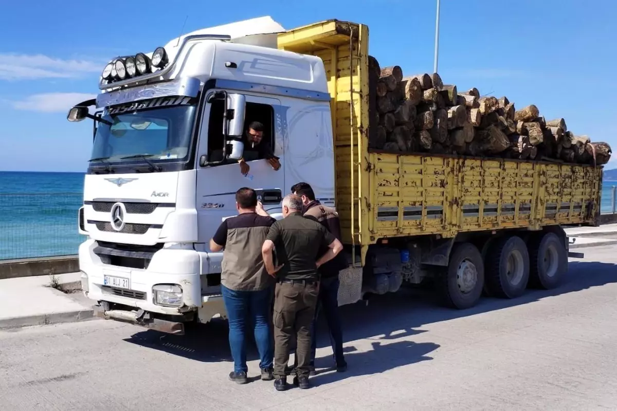 Düzce\'de Ormanların Korunması İçin Denetimler Yapıldı