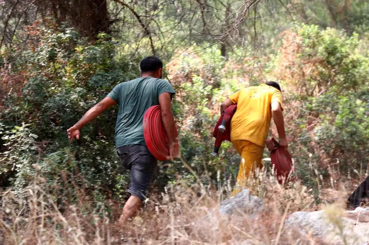 Bodrum Belediye Başkanı Mandalinci: Yangının büyümemesi için çaba sarf ediyoruz