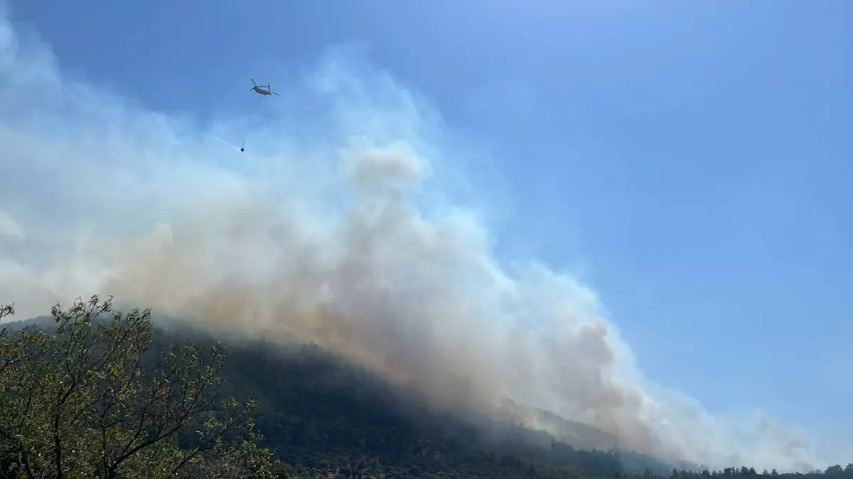 Muğla\'da Orman Yangınına Havadan ve Karadan Müdahale