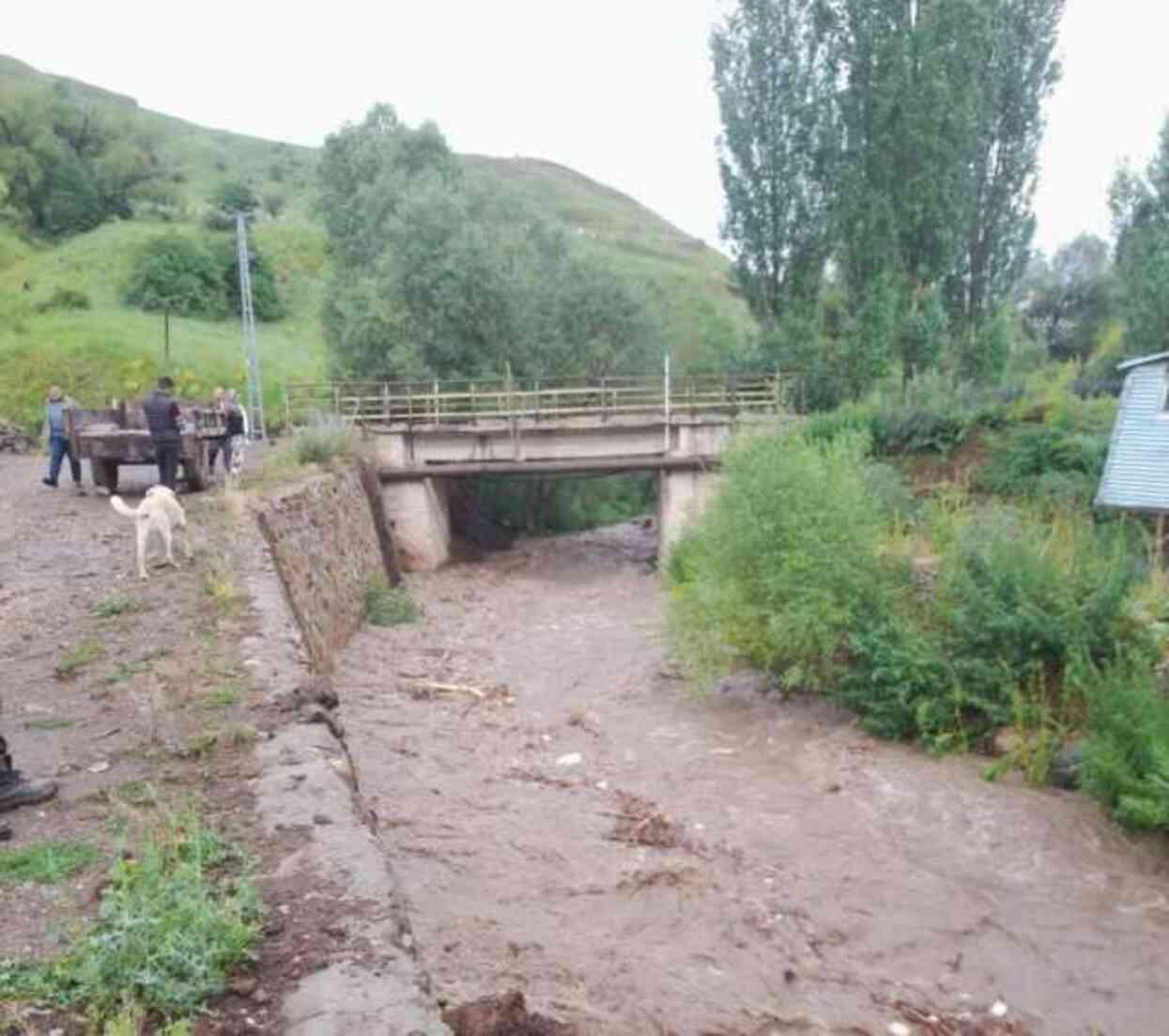 Erzurum'un Narman ilçesinde sağanak nedeniyle dereler taştı