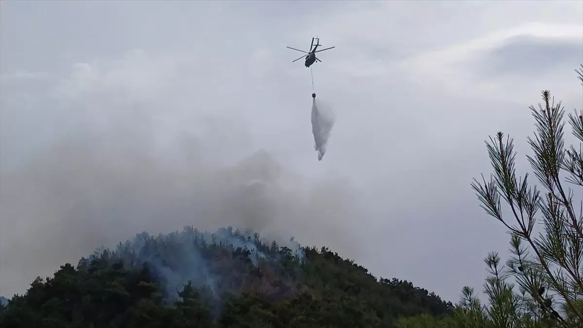 Karabük\'te ormanlık alanda çıkan yangın kontrol altına alındı