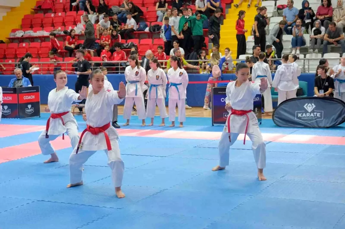 Karate Diamond Cup 2024 Tavşanlı\'da Gerçekleştirildi