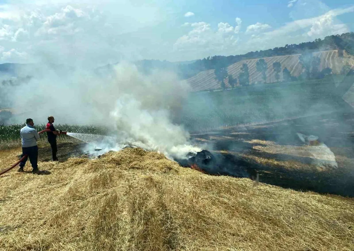 Bolu\'da Arpa Tarlasında Yangın: Samanlar Küle Döndü