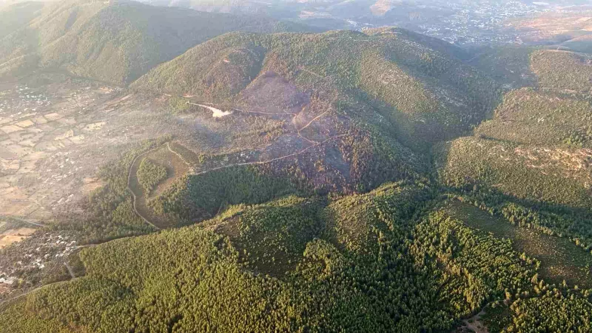 Muğla Bodrum\'da Orman Yangını Kontrol Altına Alındı