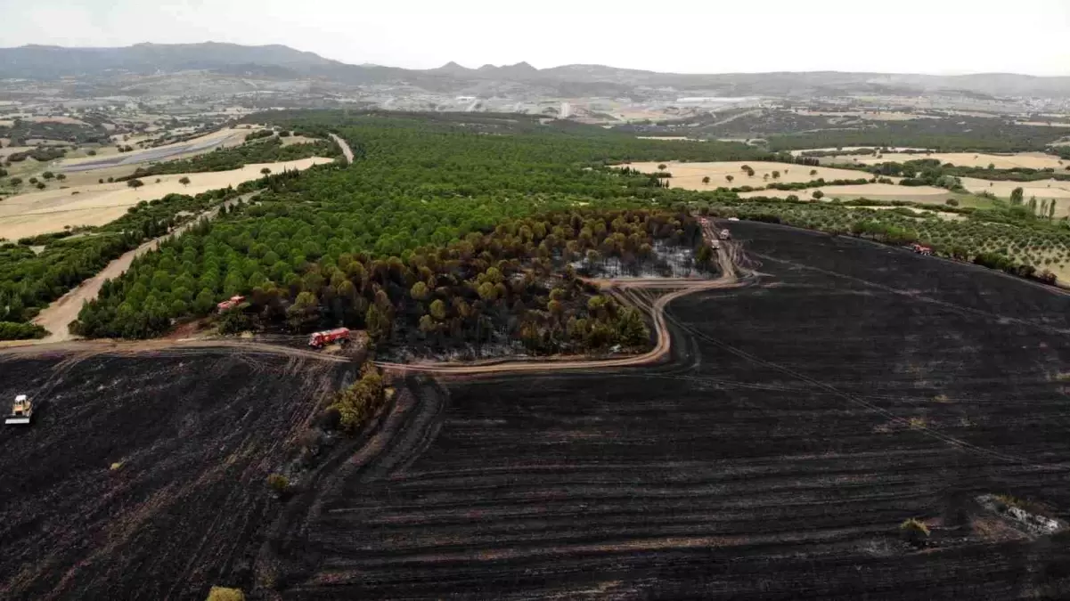 Çanakkale\'de Haziran Ayında 132 Yangın Meydana Geldi