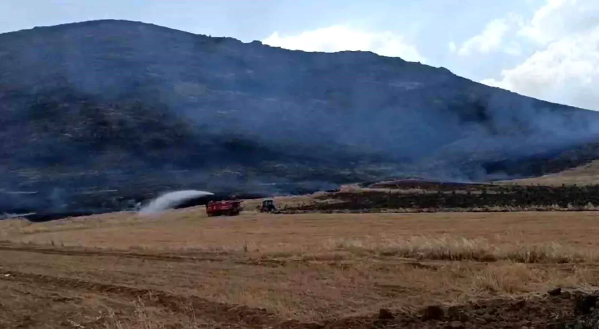 Gaziantep\'te çıkan yangında 10 dönüm anız ve ormanlık alan zarar gördü