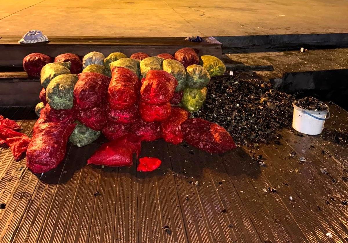 İstanbul\'da 1 Ton Kaçak Midye Ele Geçirildi