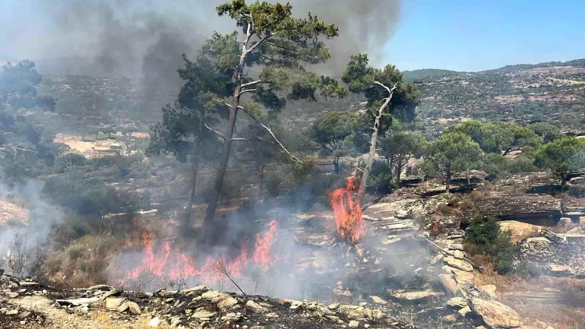 Muğla\'da Orman Yangını: Havadan ve Karadan Yoğun Çalışma Başlatıldı